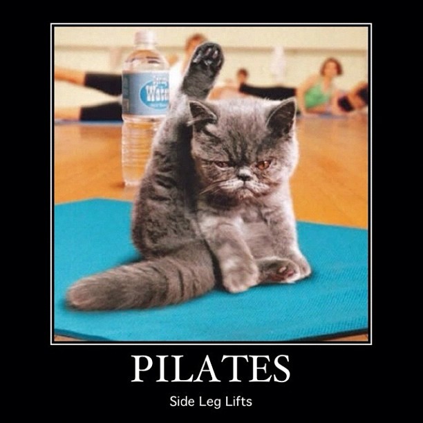 Fisioterapia Quintana PILATES COM HUMOR nº 21