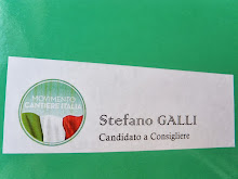 elezioni maggio 2013