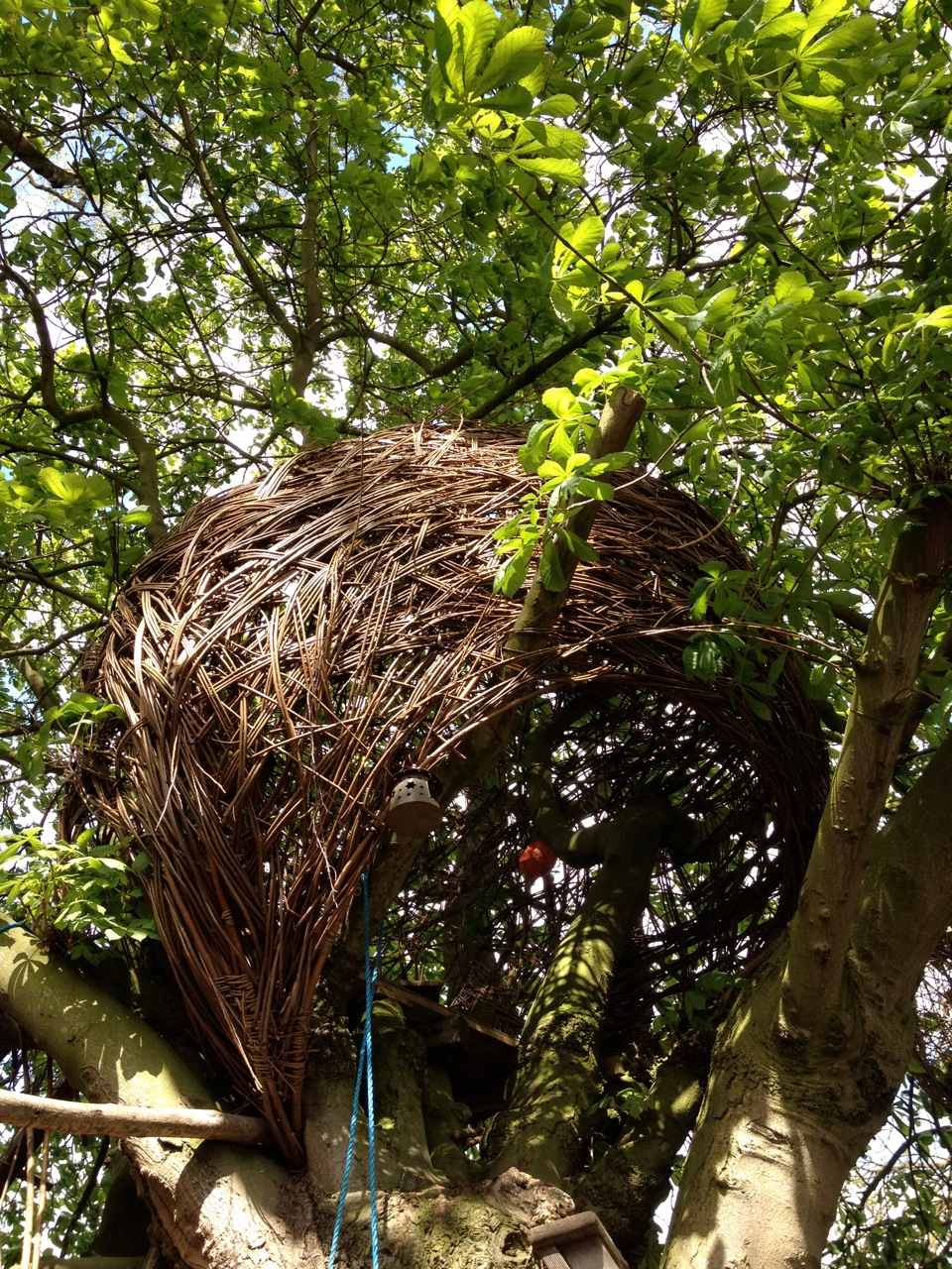 Tom Hare, Willow man Tree house