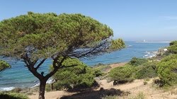 Parque Natural de la Breña y Marismas de Barbate