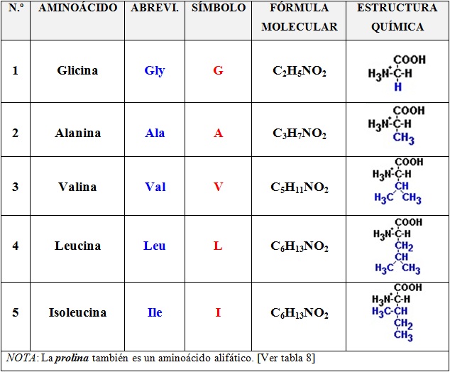 cadenas proteicas significado biologiadanielydayanpsicologia amino 193 cidos cadenas proteicas significado biologiadanielydayanpsicologia amino 193 cidos