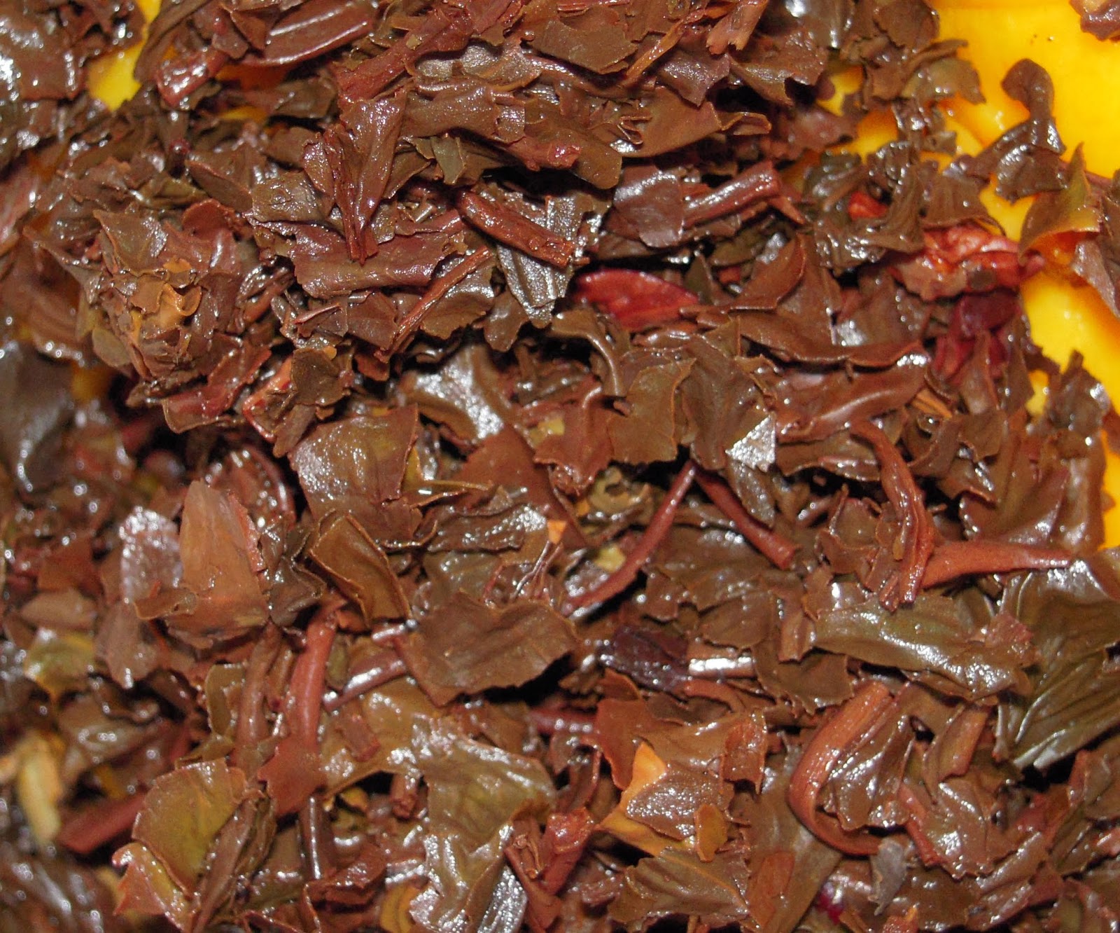 Chopped, Cheese, Preparedness and “Wasted” Veggie Soup Part 2 Green