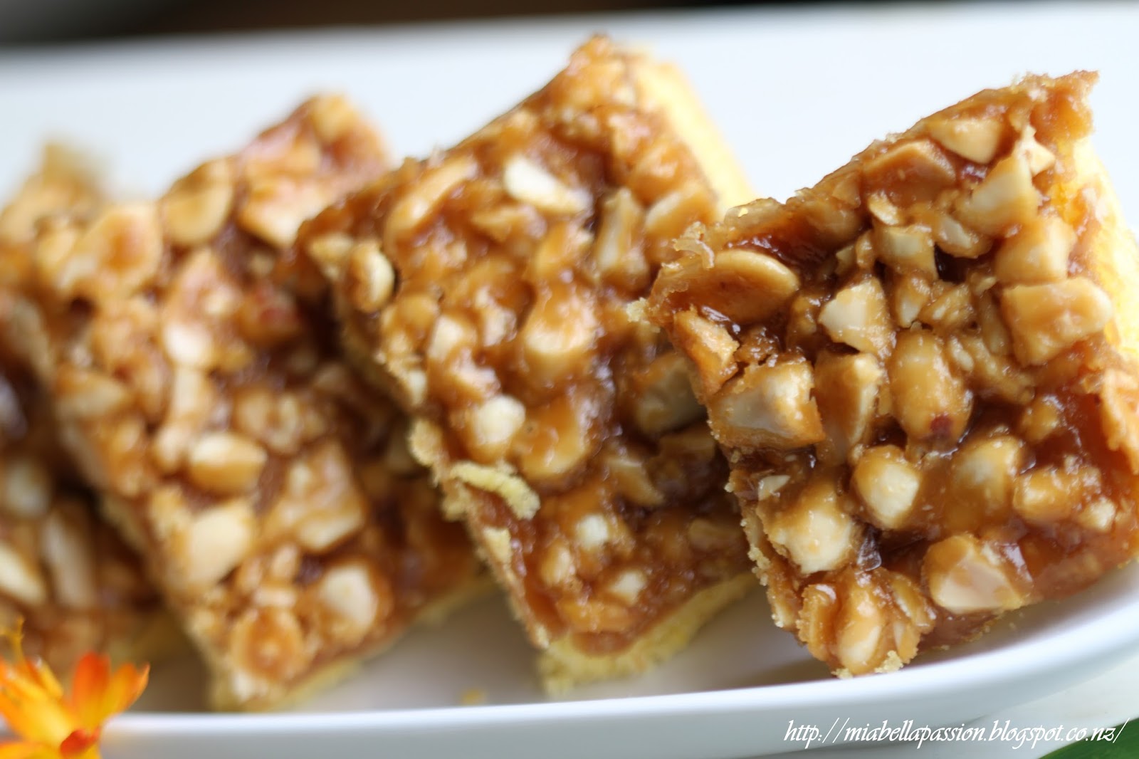 Mia Bella Passions Salted Caramel Peanut Squares...