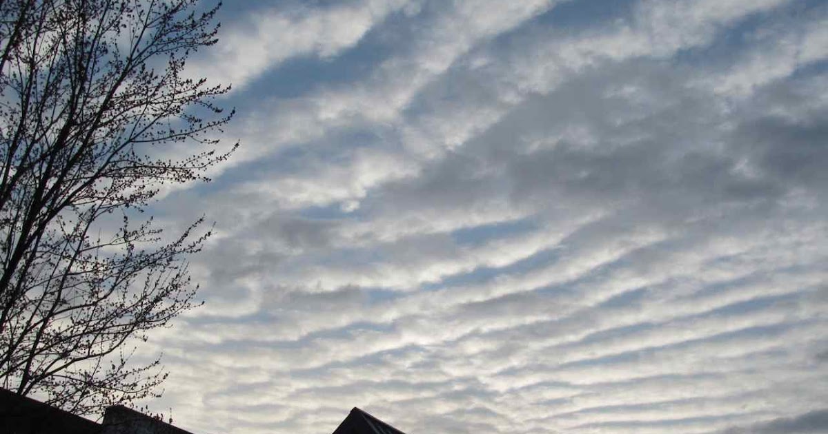 DJanity A mackerel sky and burning calories