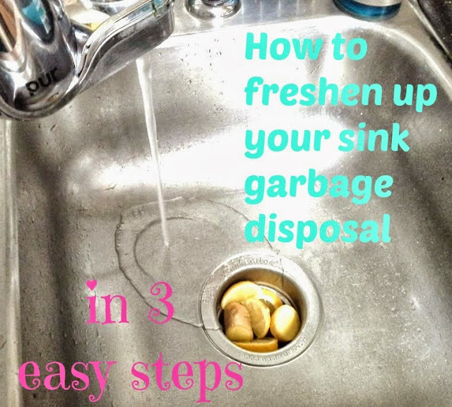 Simply in Control Freshen up Sink Garbage Disposal