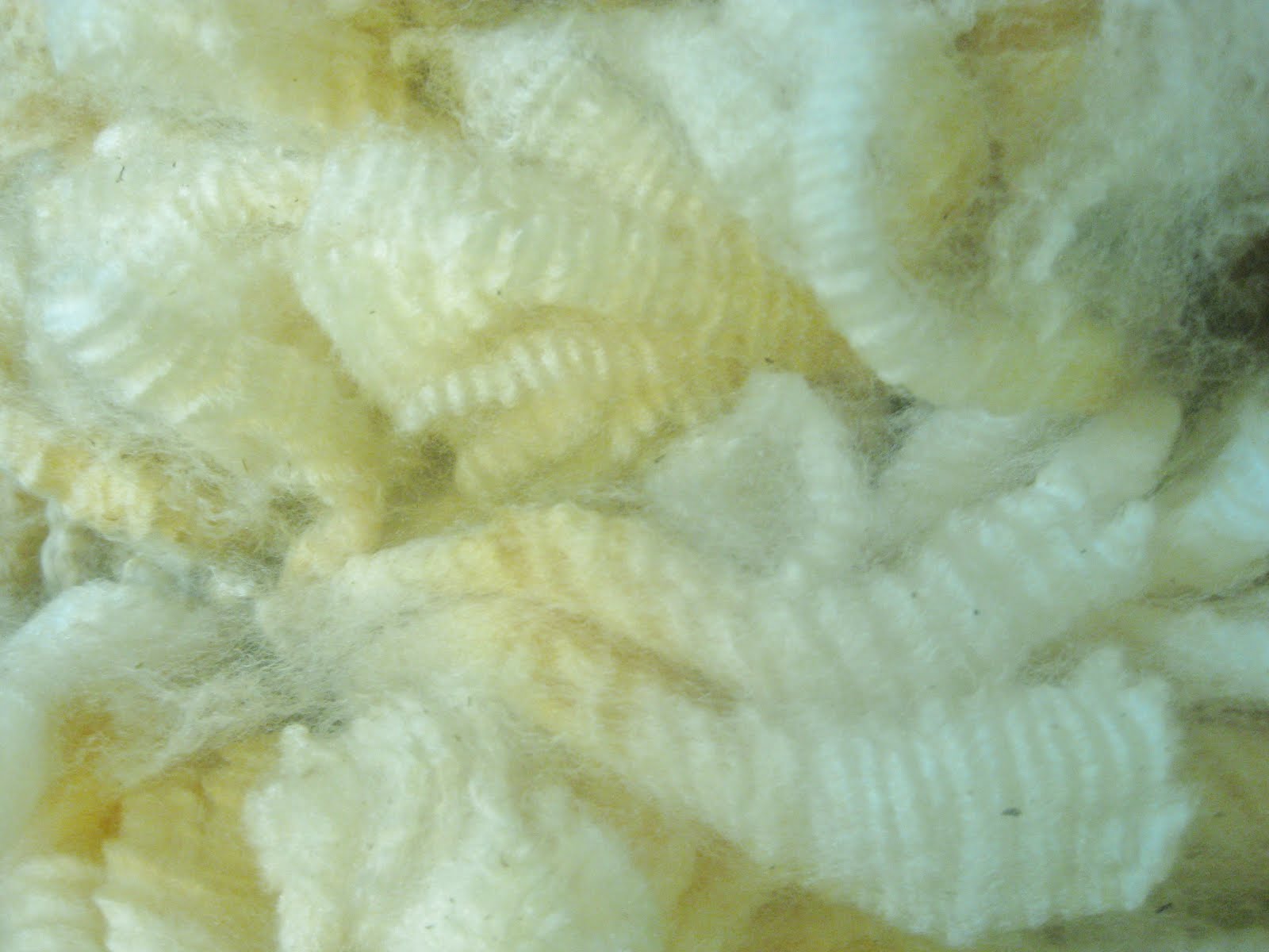 Romney fleece