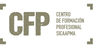 Web del CFP