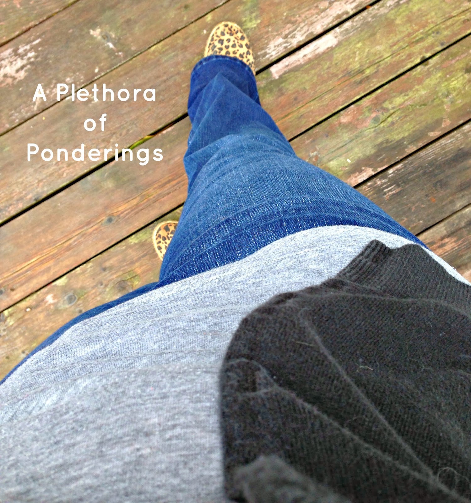 Life & Leopard Operation Get Out of Yoga Pants (Week 3)