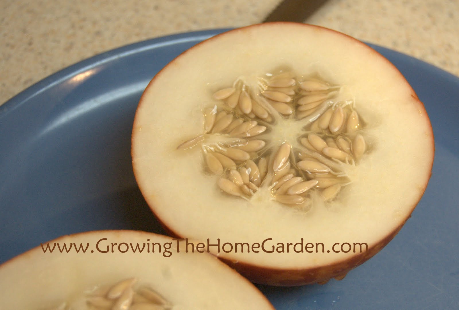 ‘Tigger’ Melon Light and Sweet Growing The Home Garden