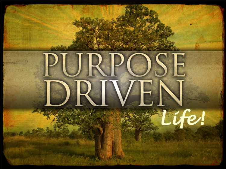 Watch Lost On Purpose Online Iflixtv