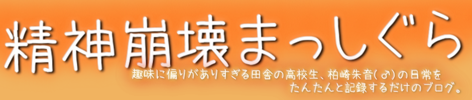 精神崩壊まっしぐら