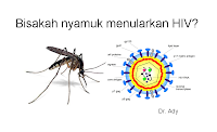 HIV dan Nyamuk