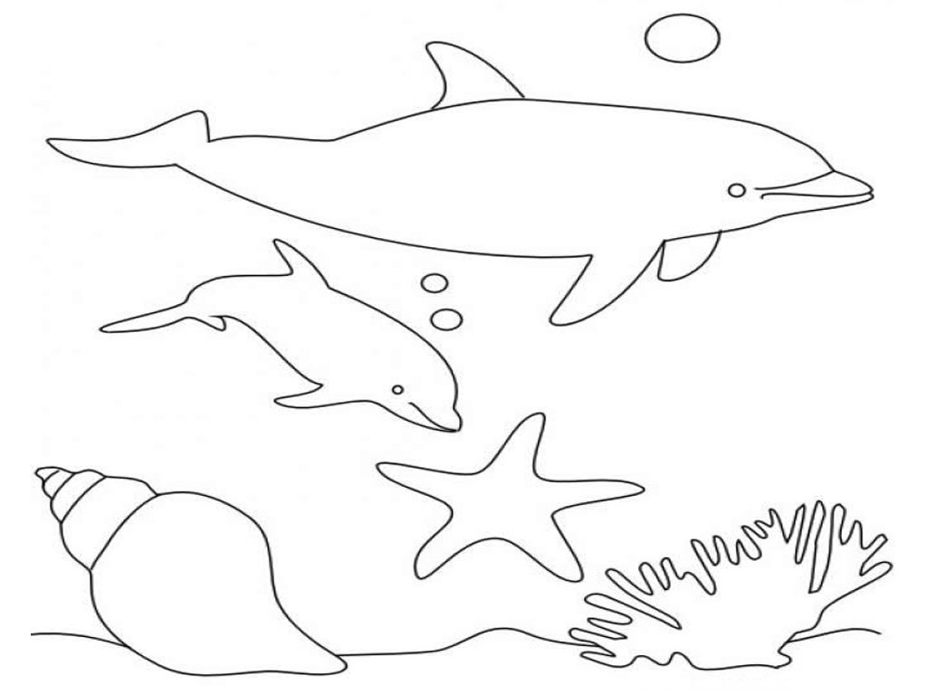 Dolphins Coloring Pages Realistic | Realistic Coloring Pages