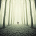 A Walk In The Woods Test – Relational Psychology Test