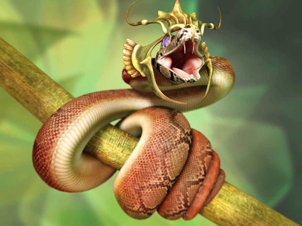 Photo Gallery | Free Premium Wallpapers |: Snake Wallpaper (10 Pics)
