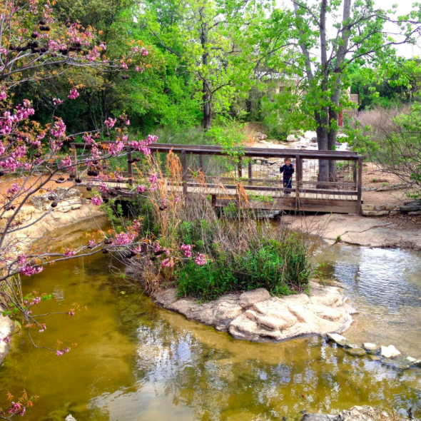 Free Fun in Austin Austin Nature & Science Center (15 Parks in 2015 1)