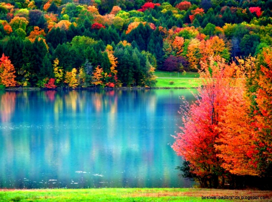 Wallpapers Of Fall Wallpaper Cave Wallpapers Of Fall Wallpaper Cave