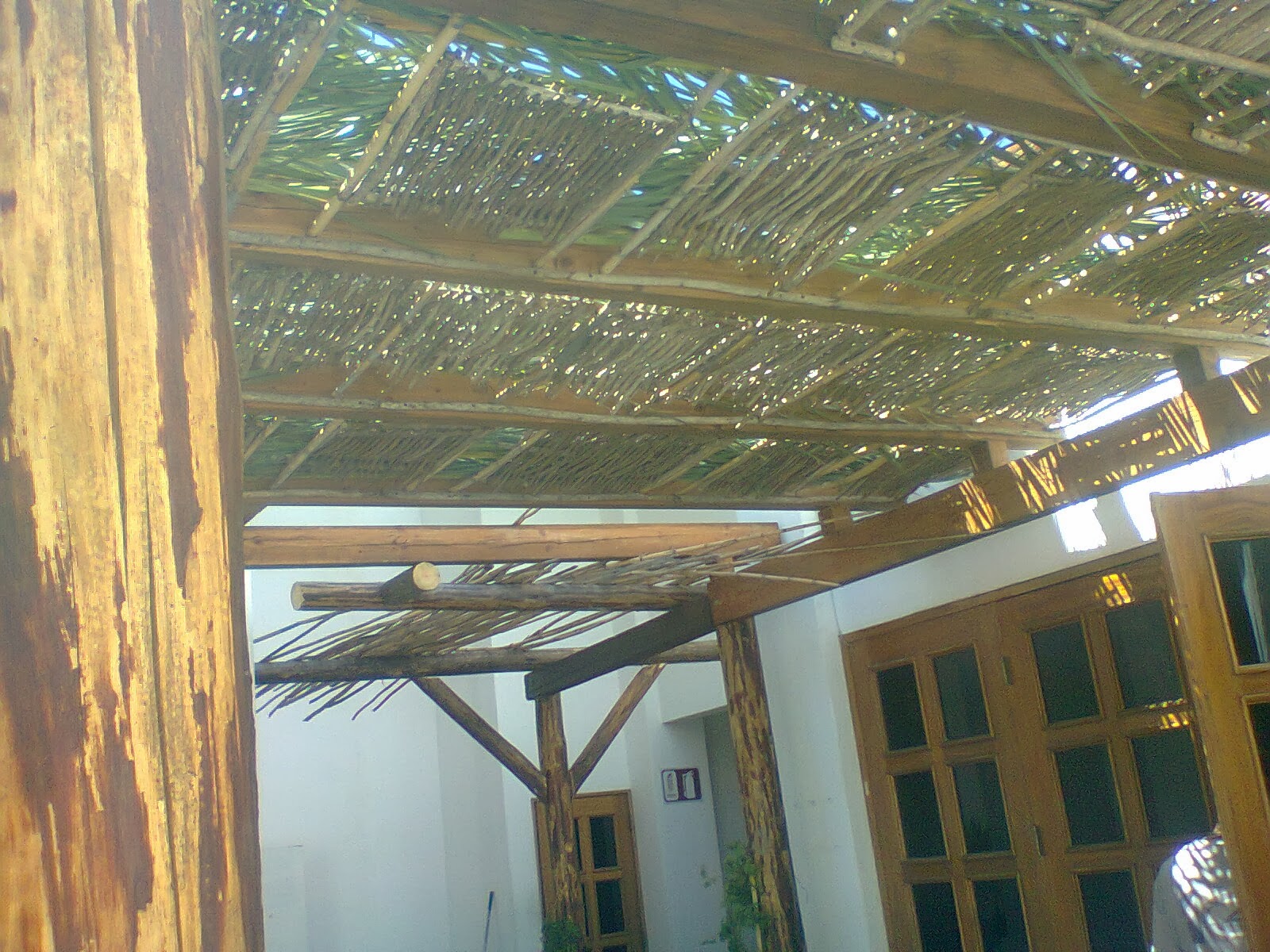 REY DE CALIFORNIA & COGUAYPE de Julieta Arce TECHOS RÚSTICOS, PALAPAS Y