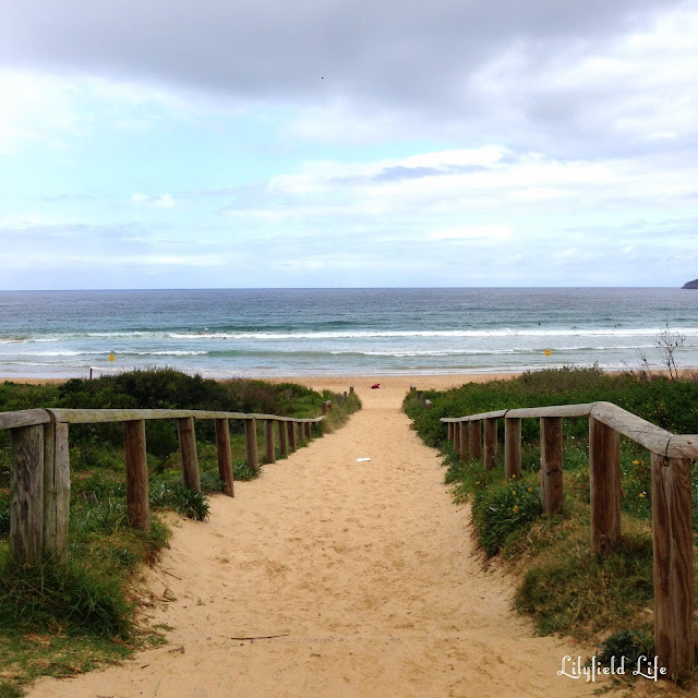 Freshwater Beach Sydney