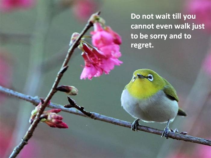 Nature beauty with quotes( motivational thoughts) - The Fun Learning