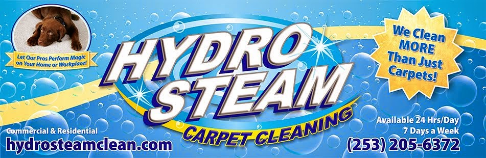 Hydro Steam Clean