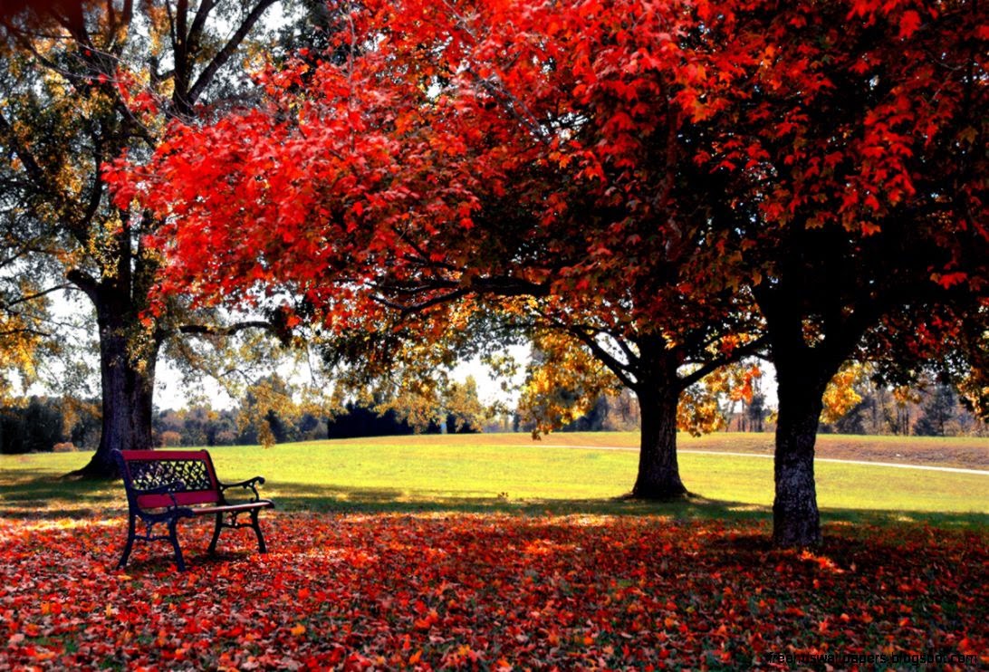 Free Desktop wallpaper nature download Free Desktop wallpaper nature download