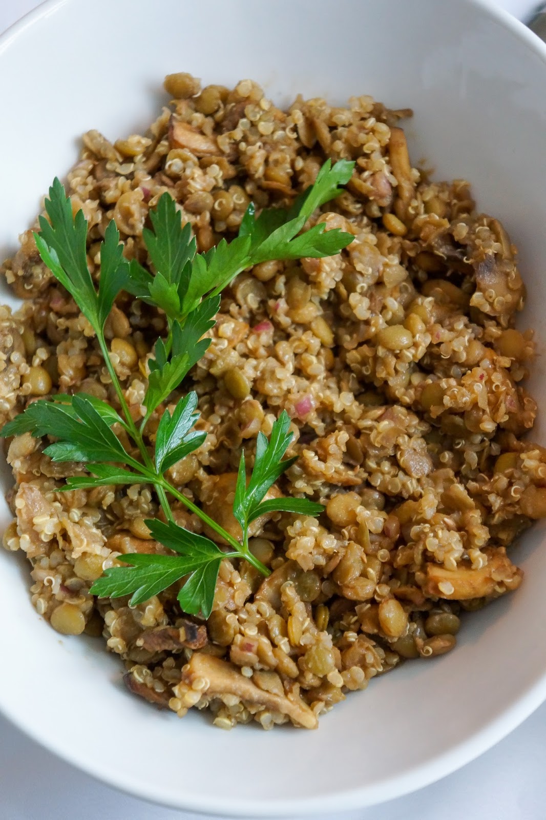 Quinoa salad with lentils and roasted mushrooms Tera Solara
