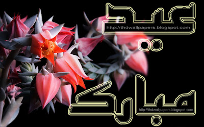 Red Lotus Rose Flowers Eid-ul-Adha Zuha Mubarak Cards 2012 Urdu Text 2