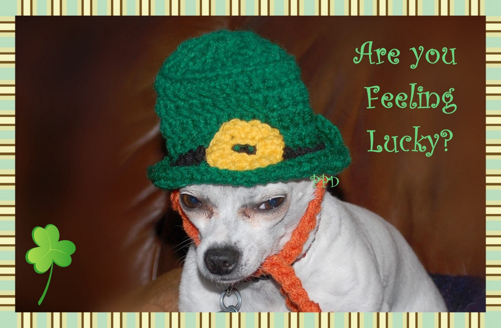 Posh Pooch Designs Dog Clothes: Crochet Pattern ...