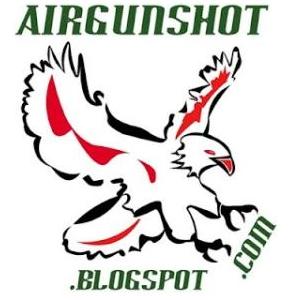 Airgun Shot