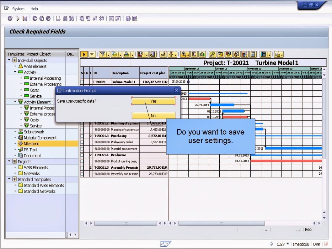 青蛙SAP分享 Learning & Examination SAP Project System Creating Project
