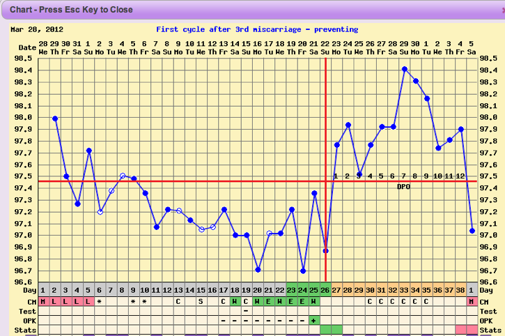 Storknet Due Date Chart