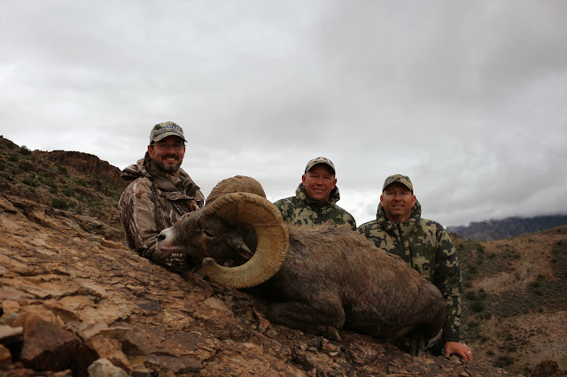 Desert+Bighorn+Sheep+Hunt+Photos+in+Arizona+Unit+15D+with+Colburn+and+Scott+Outfitters.++Sheep+Guides+12.JPG