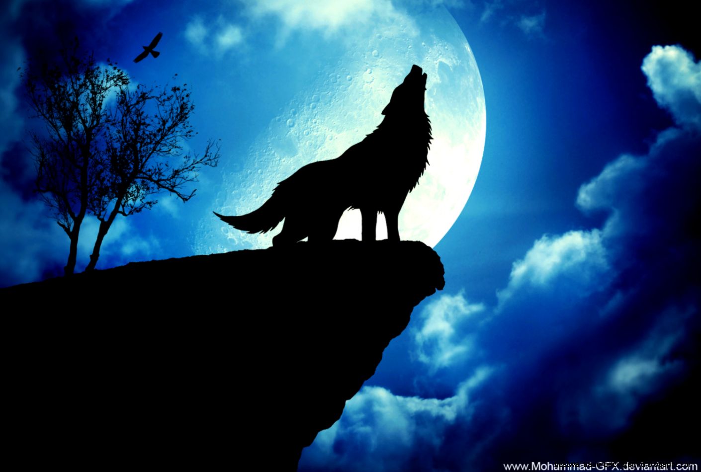 Wolf Wallpaper 685 Background Cool 1500x1000 Wolf Wallpaper 685 Background Cool 1500x1000