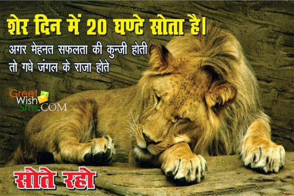 Funny Hindi Whatsapp Status