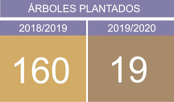 ARBOLES PLANTADOS