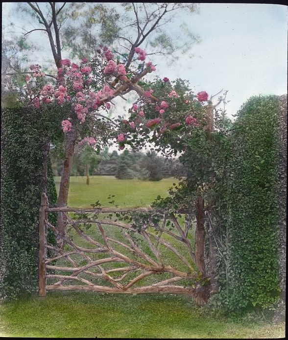 Old Long Island The Gardens of 'Claverack'