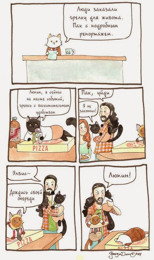 Котоновости: Грелка для живота