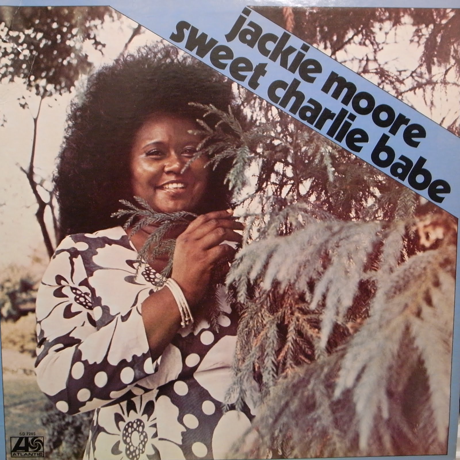 STILL SEARCHIN' BLOG by THE SILVER CHILD & MSA 2月 2012