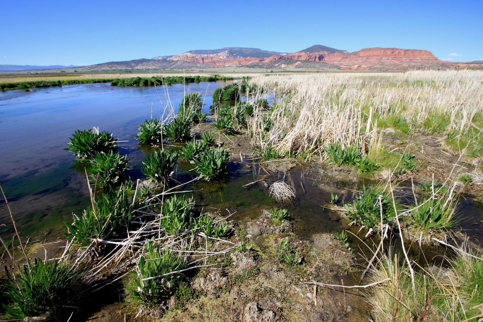 River Tales Fremont, UM Creek, Bicknell Bottoms Kick the summer off right