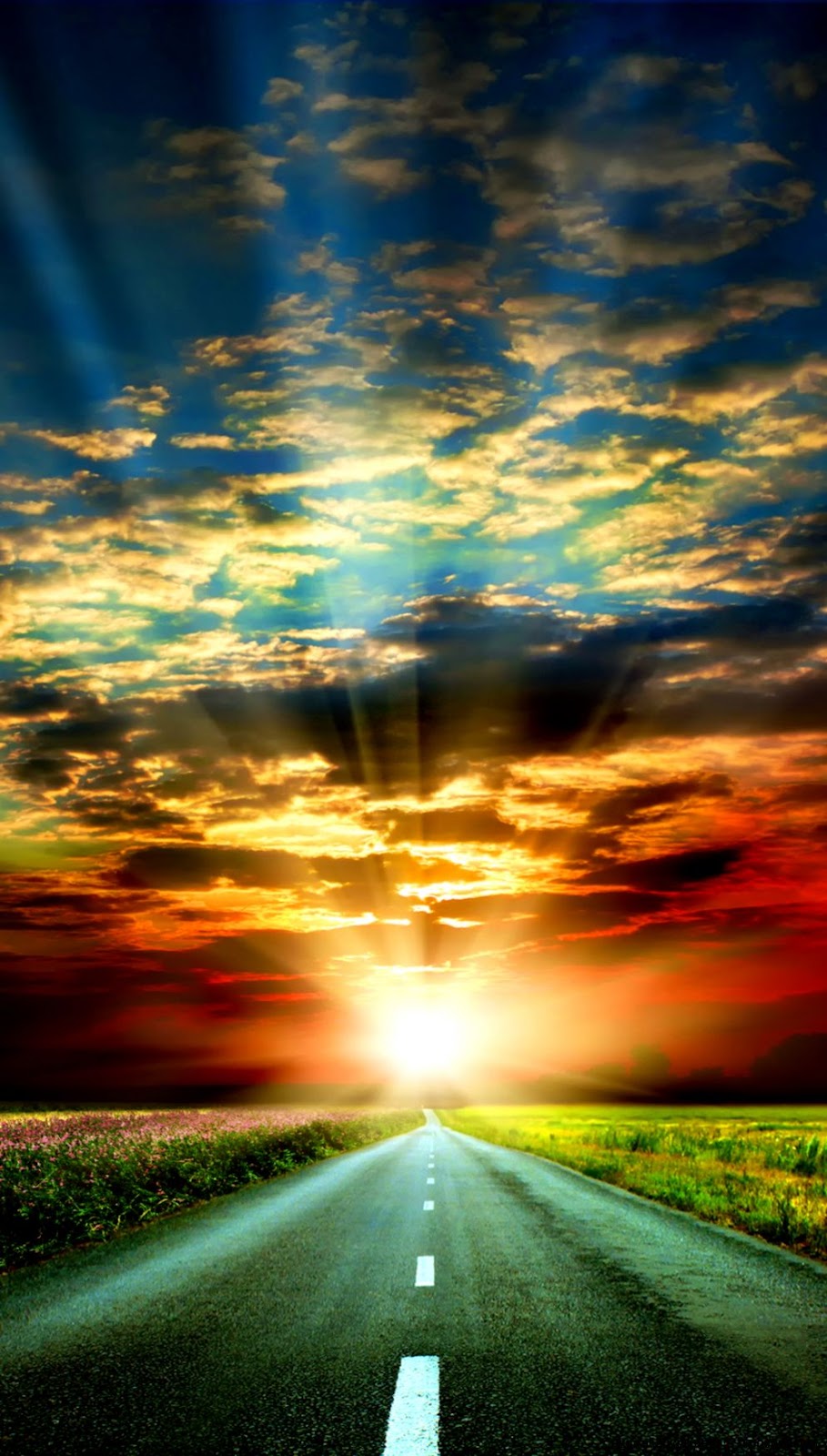 iPhone 6 Plus iPhone 6 Plus