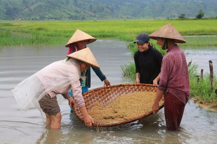 Vietnamese take over Khmer farmland.