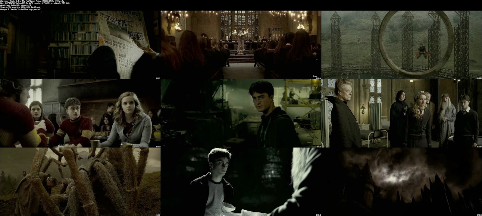 Harry Potter and the Half-Blood Prince 2009 480p 720p