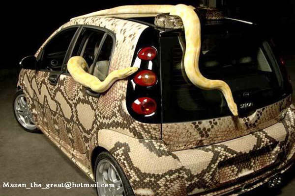 A leather Snake Car 606...berani kah anda!