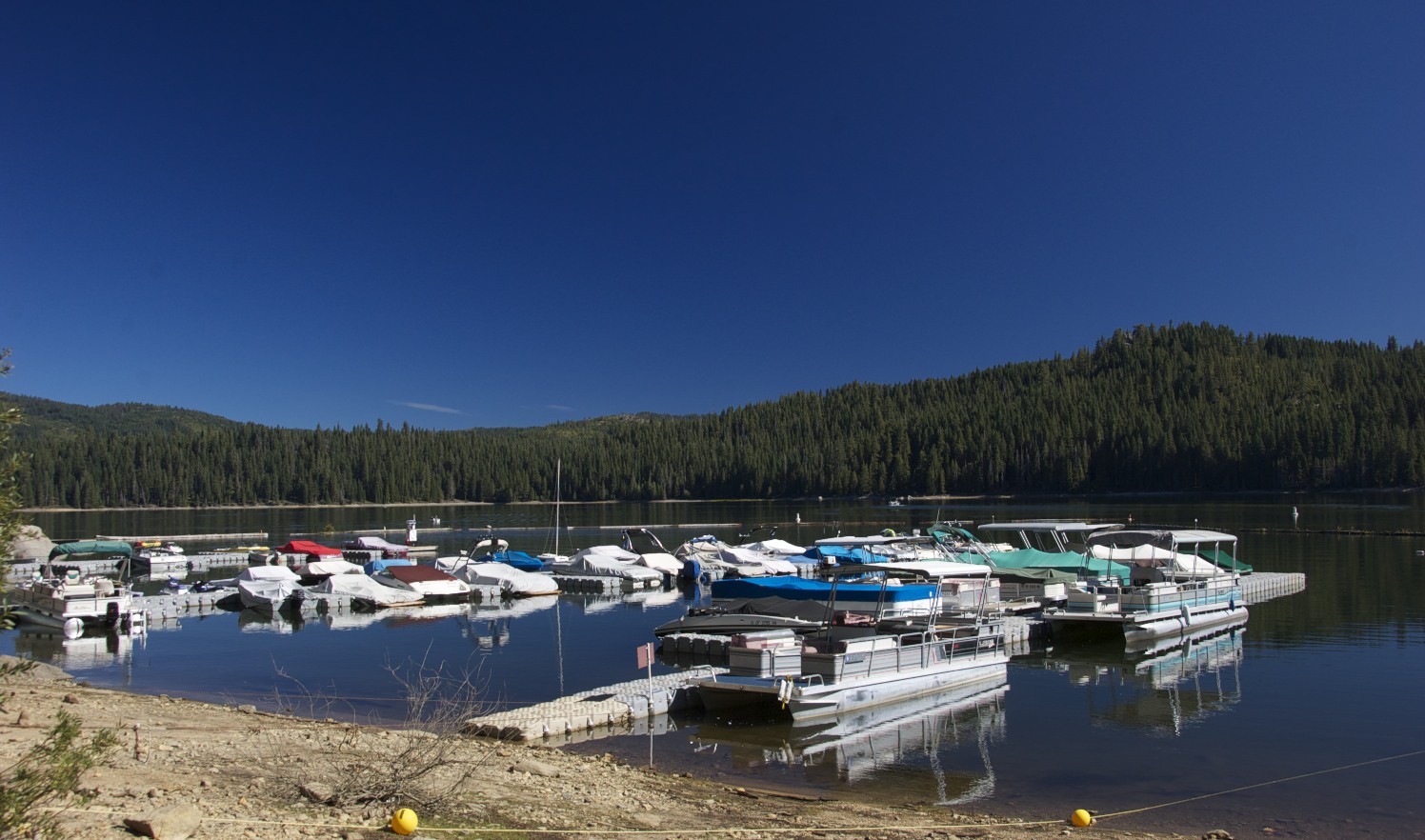 Travels with L (and sometimes Z & F) Bucks Lake, CA