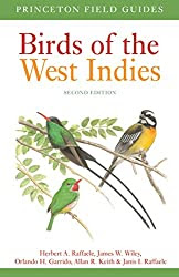 FIELD GUIDES FOR BIRDING IN BARBADOS