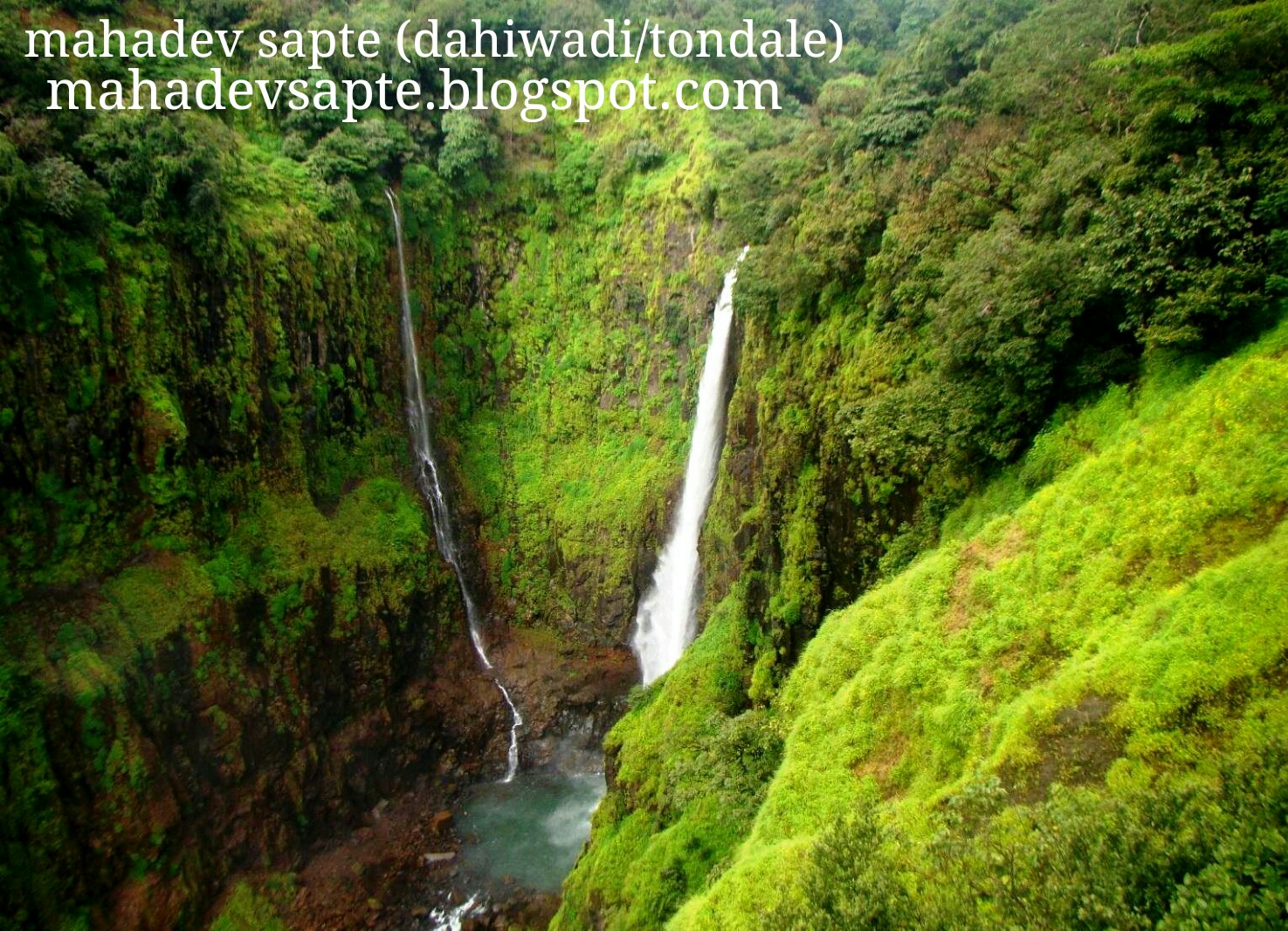 Kas Pathar Satara कास पठार Kaas Plateau (Valley of Flowers) Photos By Mahadev Sapte