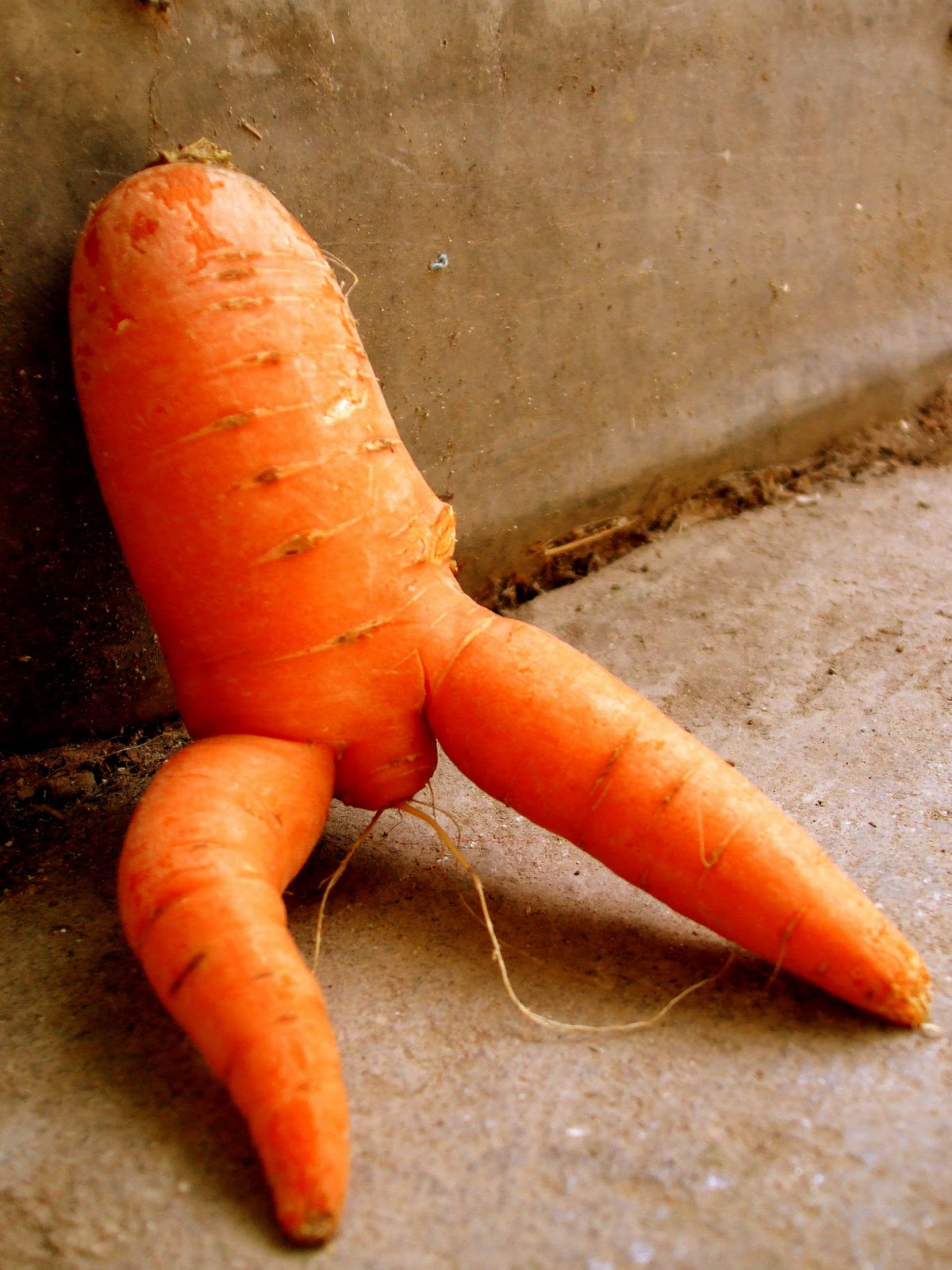 Funny Carrots.