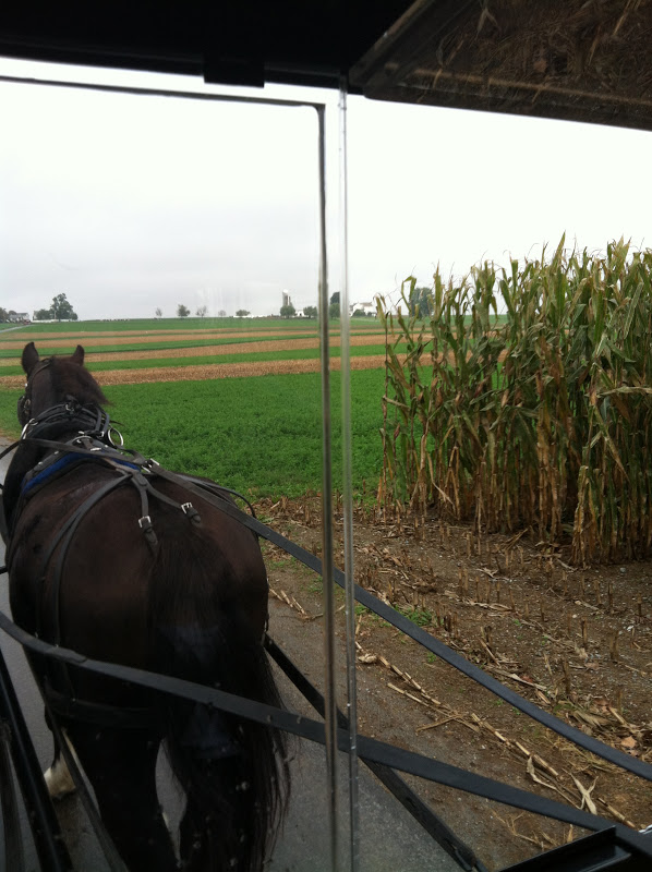 aaa buggy rides at kitchen kettle village
