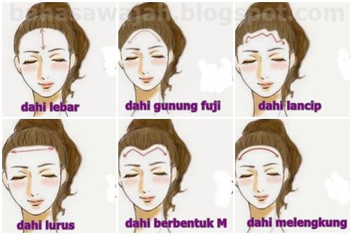Bahasa Wajah Seseorang dari Bentuk Dahi - Bahasa Wajah